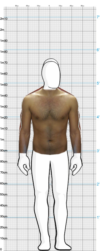 Full Size Comparison