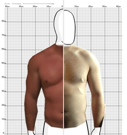 Torso Comparison