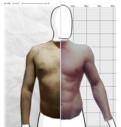 Torso Comparison