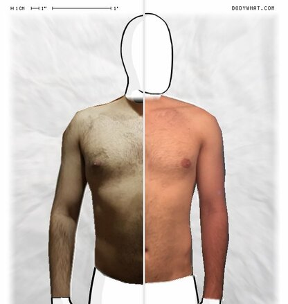 Torso Comparison