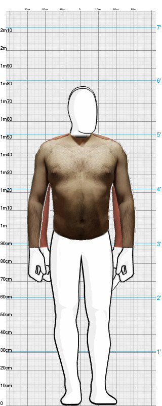 Full Size Comparison