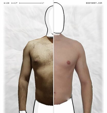 Torso Comparison