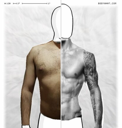 Torso Comparison