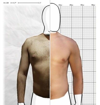 Torso Comparison