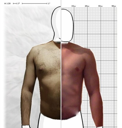 Torso Comparison