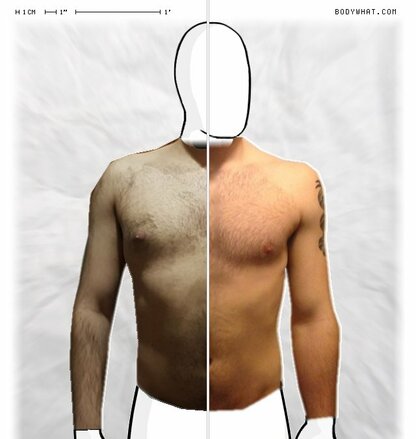 Torso Comparison