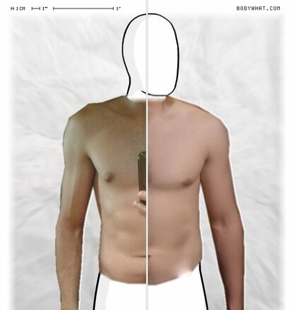 Torso Comparison