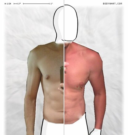 Torso Comparison