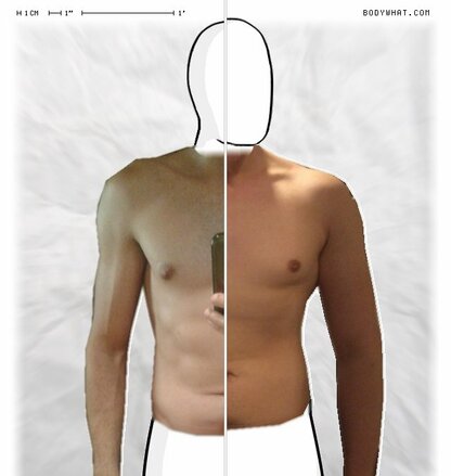 Torso Comparison