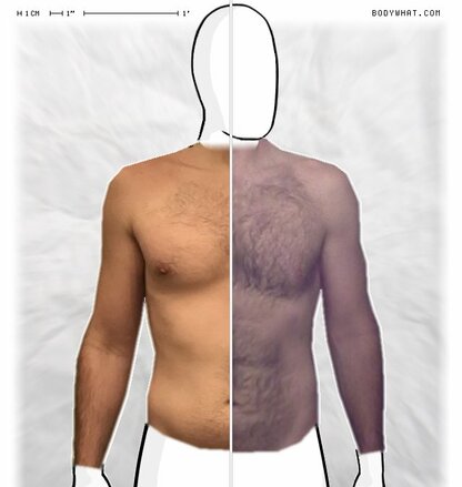 Torso Comparison