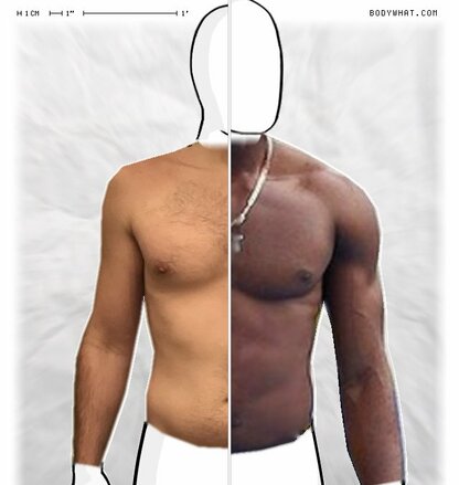 Torso Comparison