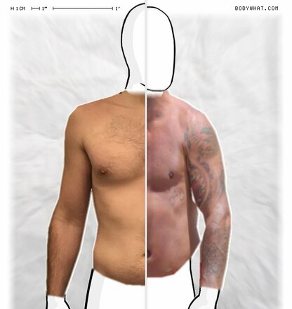 Torso Comparison