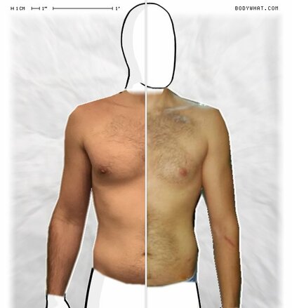 Torso Comparison