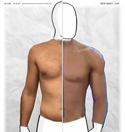 Torso Comparison