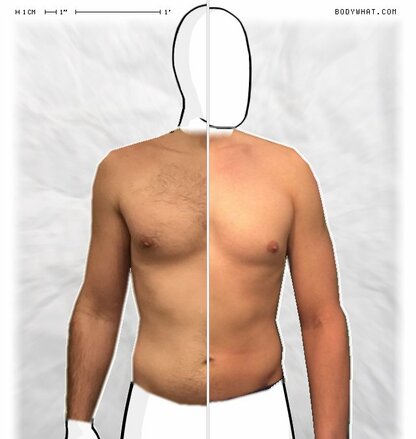 Torso Comparison