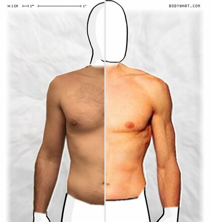 Torso Comparison