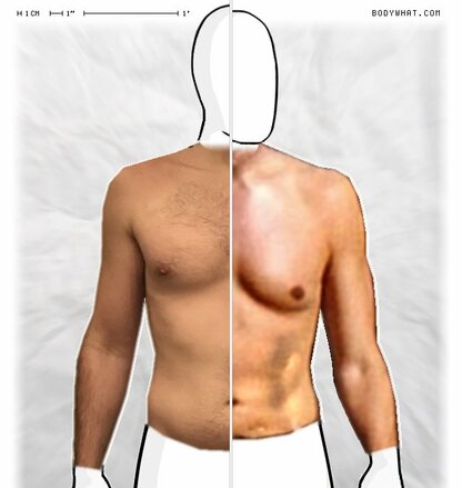 Torso Comparison