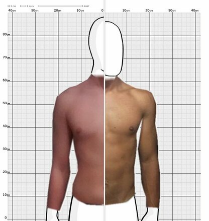 Torso Comparison