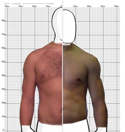 Torso Comparison