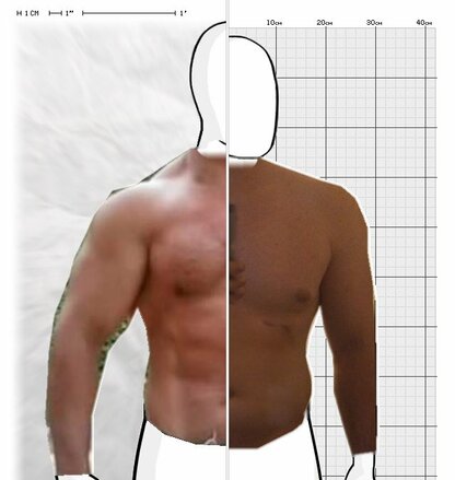 Torso Comparison