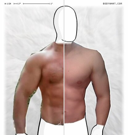 Torso Comparison