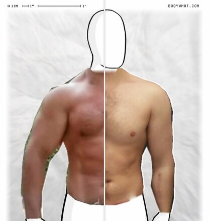 Torso Comparison