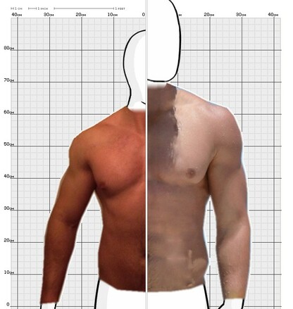 Torso Comparison