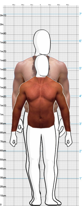 Full Size Comparison