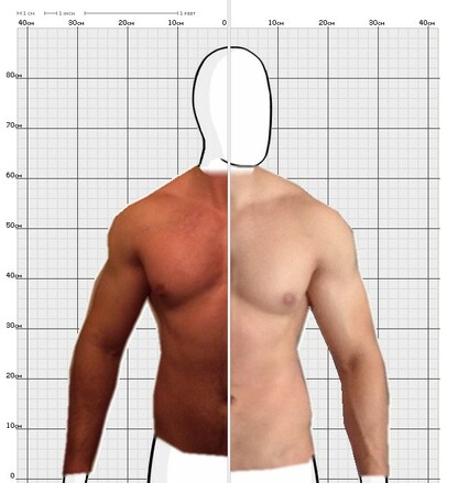 Torso Comparison