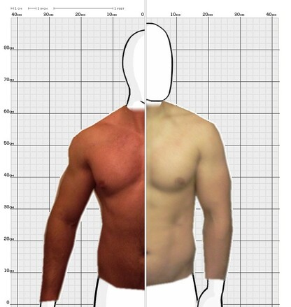 Torso Comparison