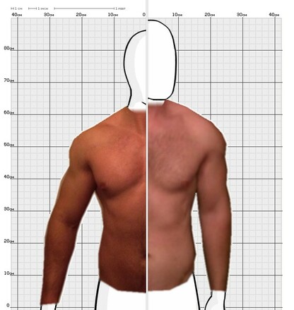 Torso Comparison