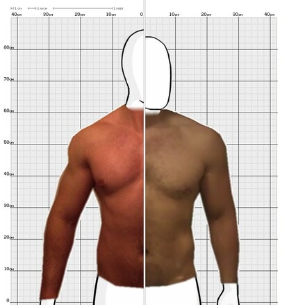 Torso Comparison