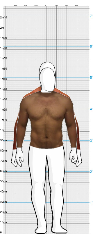 Full Size Comparison