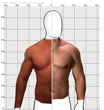 Torso Comparison