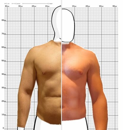 Torso Comparison