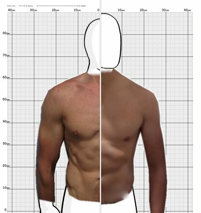 Torso Comparison