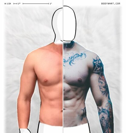 Torso Comparison