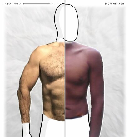 Torso Comparison