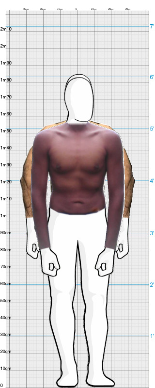 Full Size Comparison