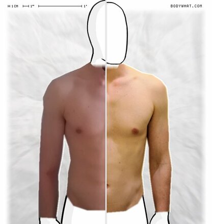 Torso Comparison