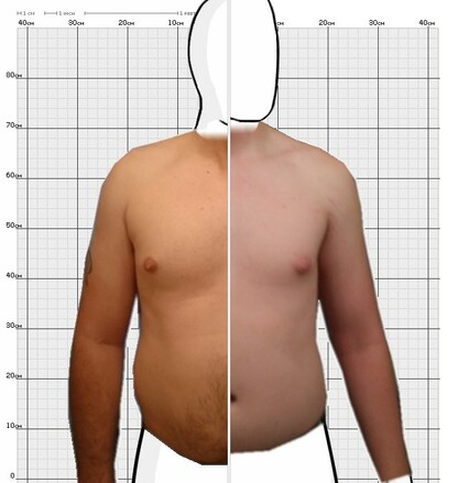 Torso Comparison