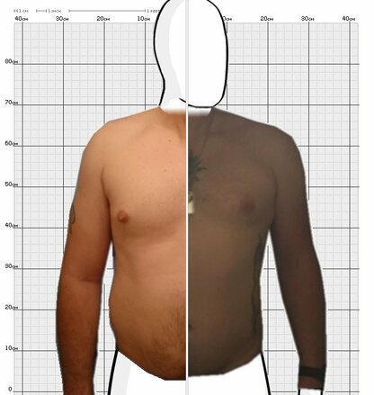 Torso Comparison