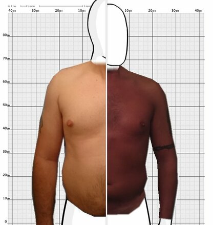 Torso Comparison