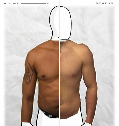 Torso Comparison