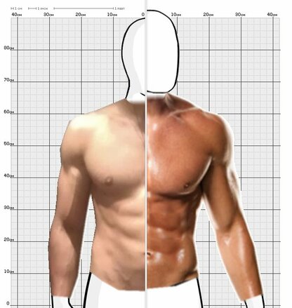 Torso Comparison