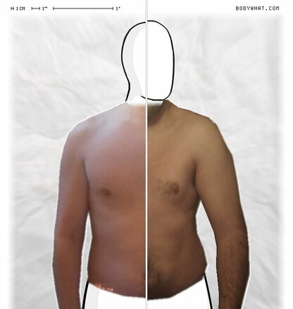 Torso Comparison