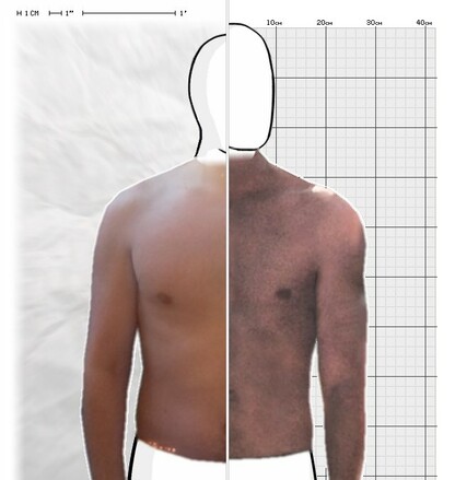 Torso Comparison