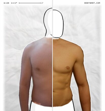 Torso Comparison