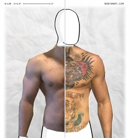 Torso Comparison