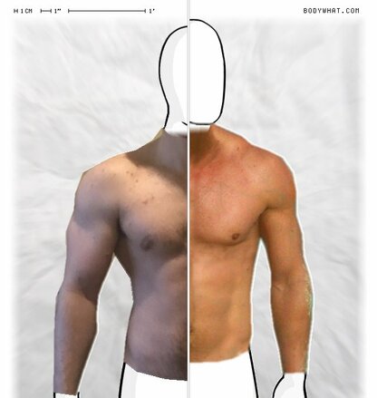 Torso Comparison